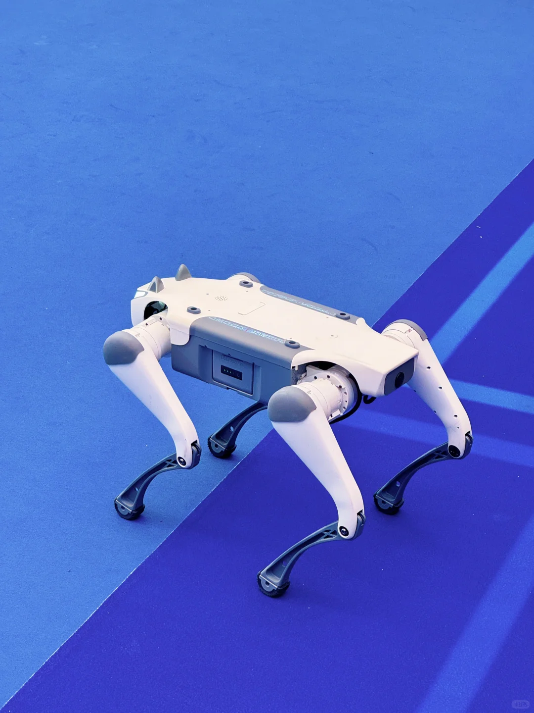 2025年第137届广交会在广州盛大举办