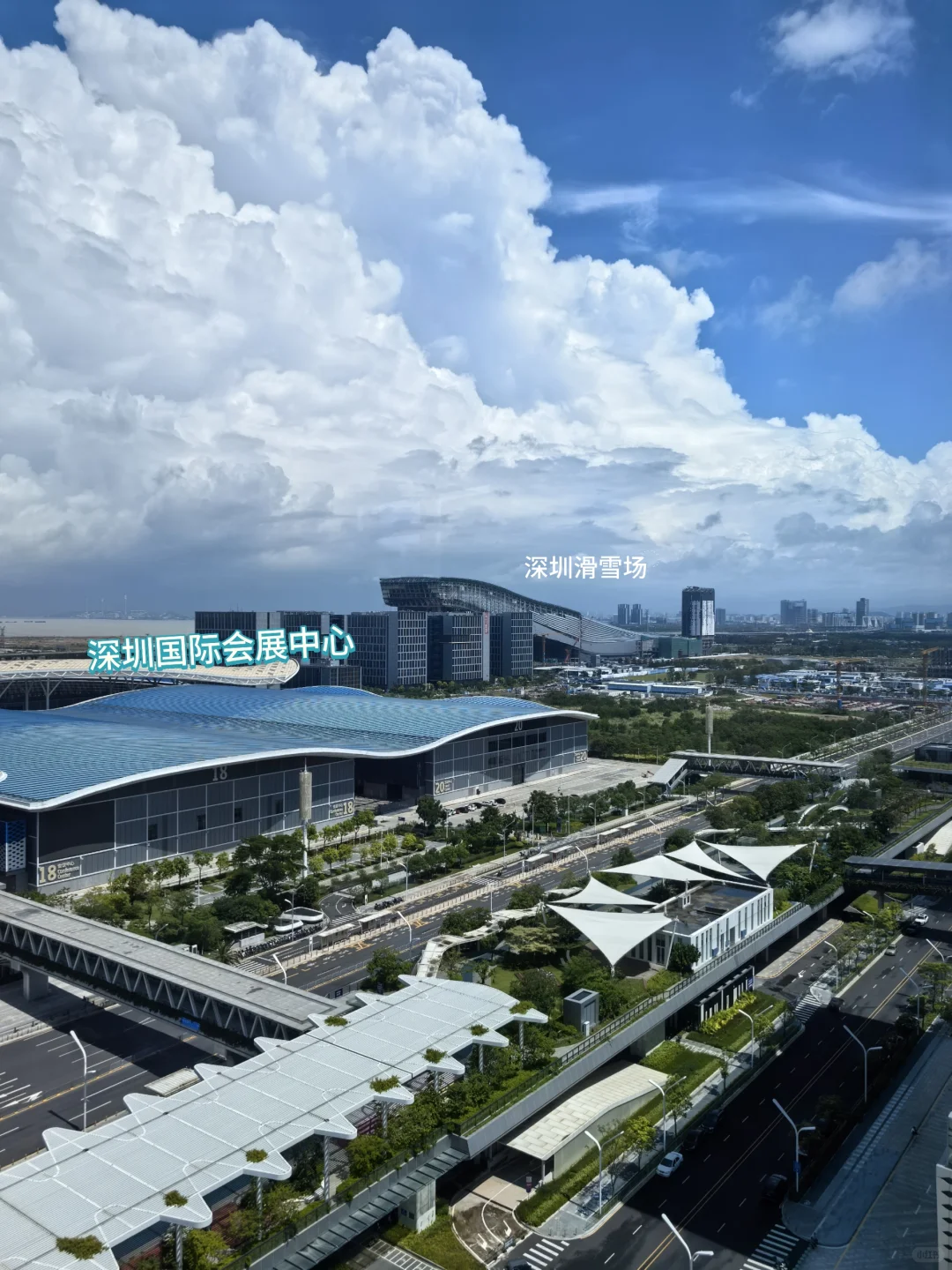 会展的风景“nice”???