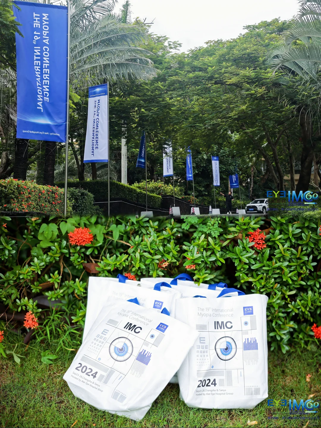 案例分享｜第19届世界近视眼大会