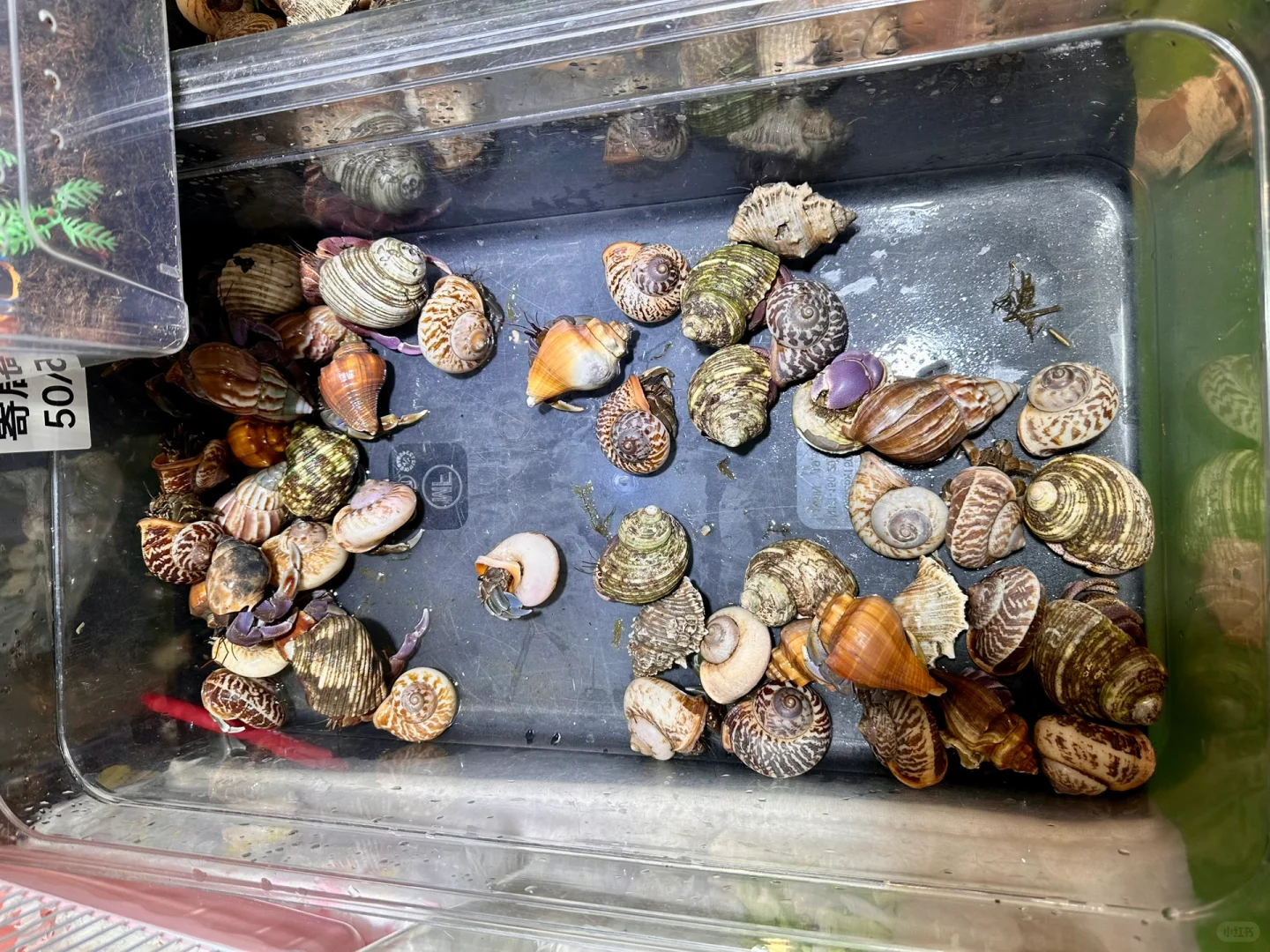 它博会超实用攻略