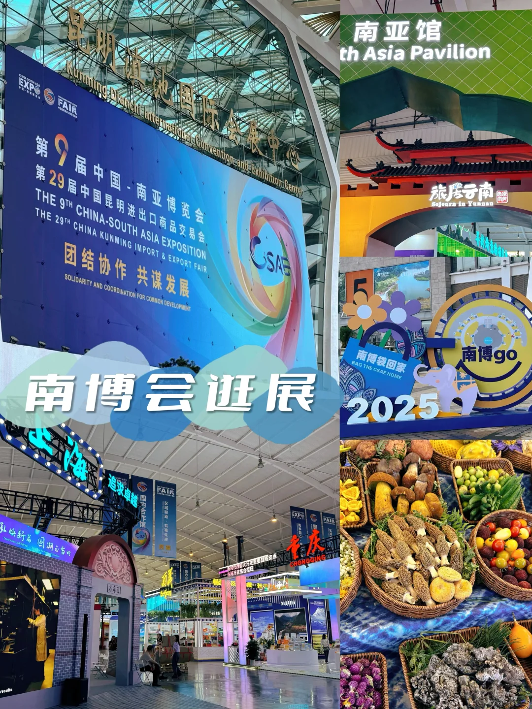 昆明逛展｜⚠️2025南博会逛展预告来啦！???