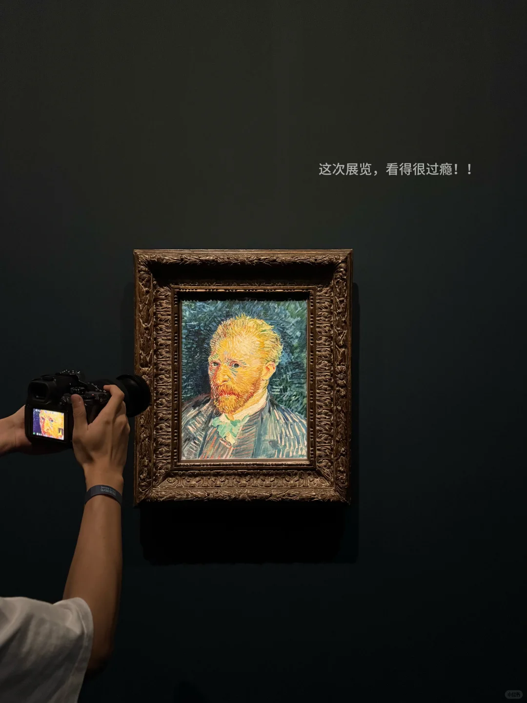 上海新展!诚意满满!