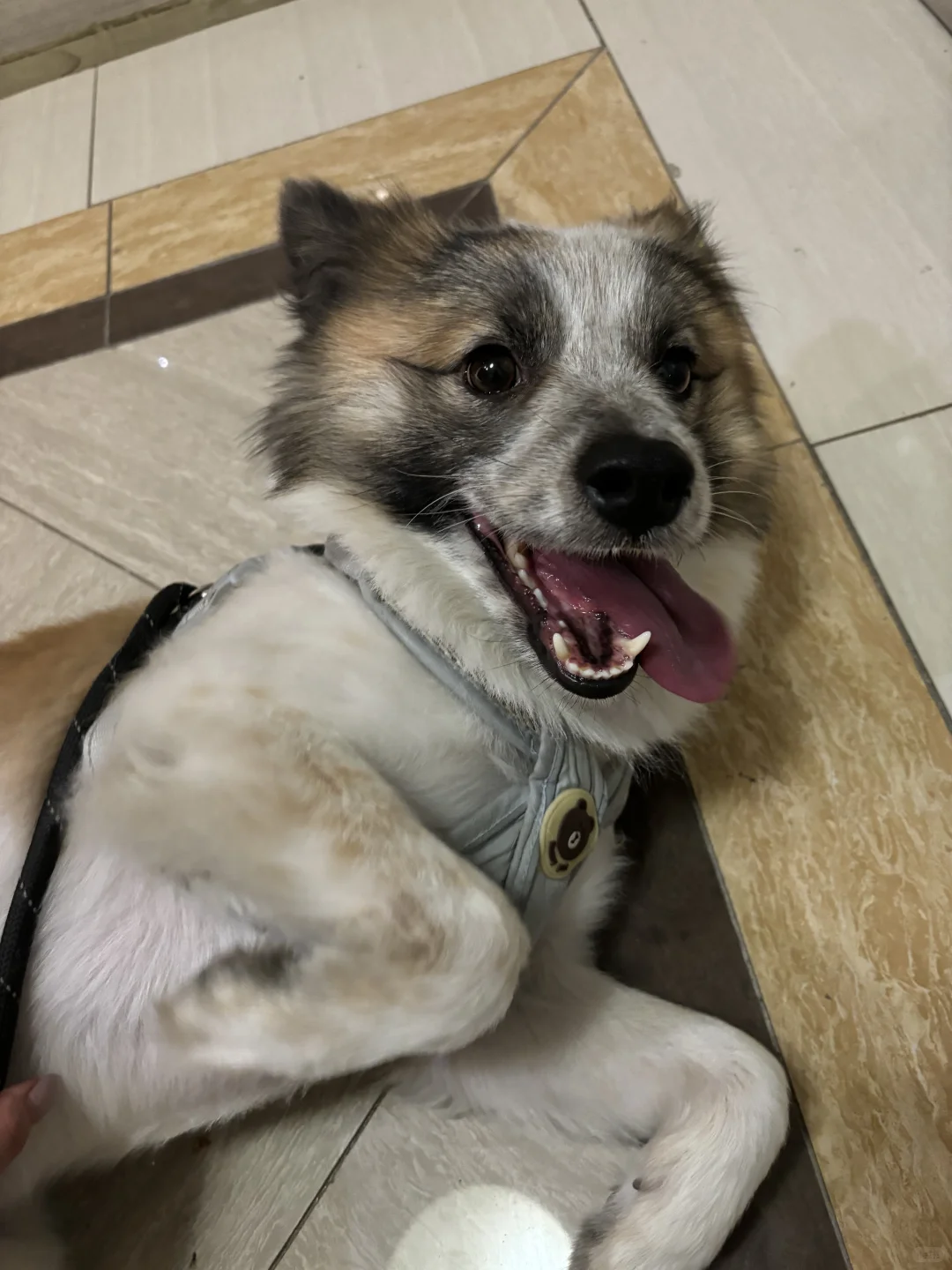 三门峡国际文博城会展中心兼职