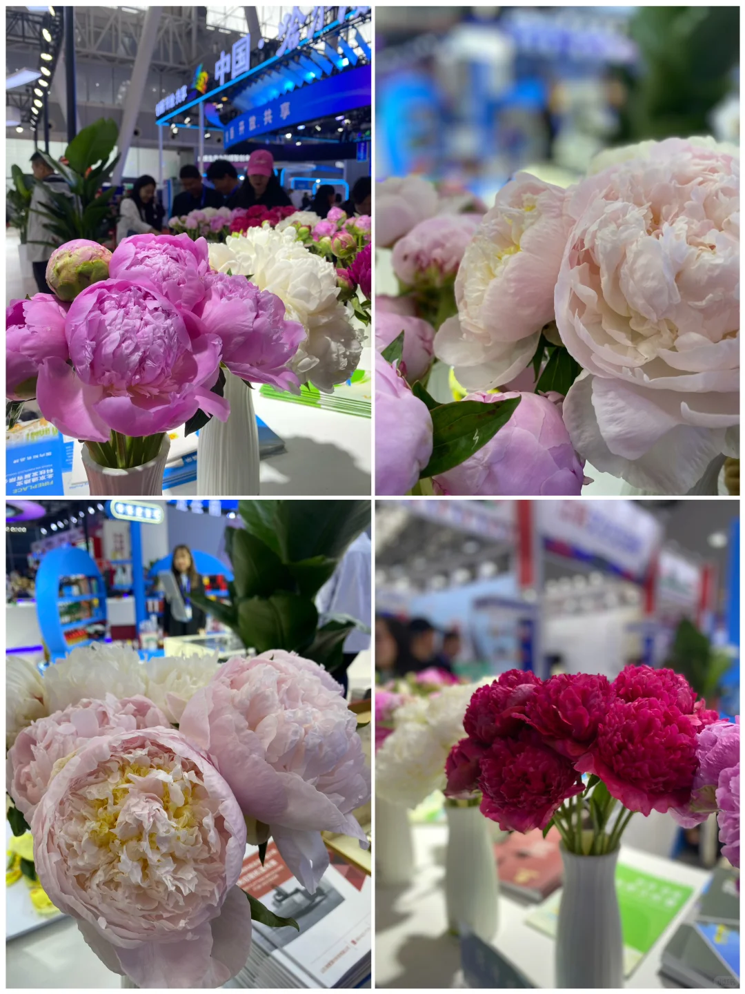 第三十四届哈洽会开始啦 逛起来吧