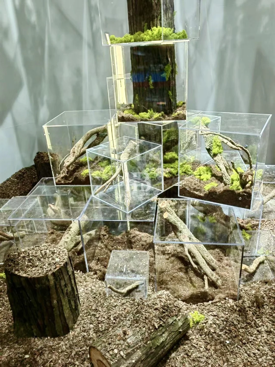 这款亚克力树摆在展会展厅也太高级了吧