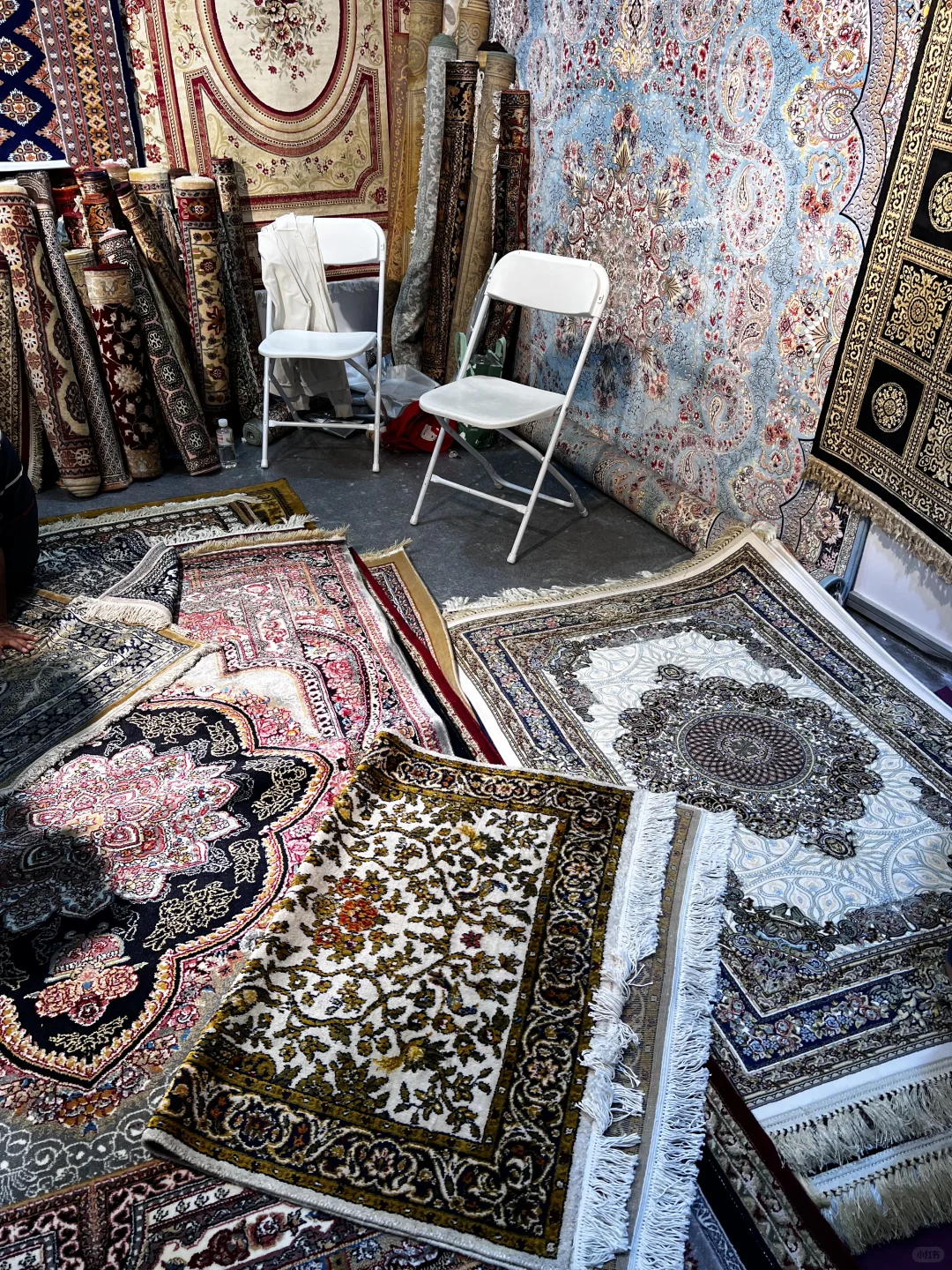 逛南博会啦啦啦啦