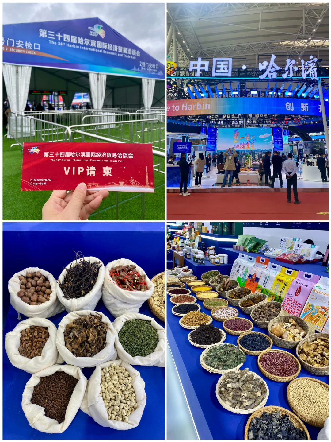 第三十四届哈洽会开始啦 逛起来吧