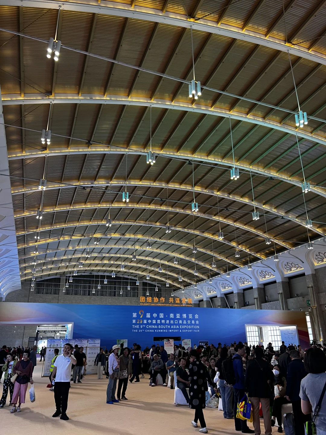 逛南博会啦啦啦啦