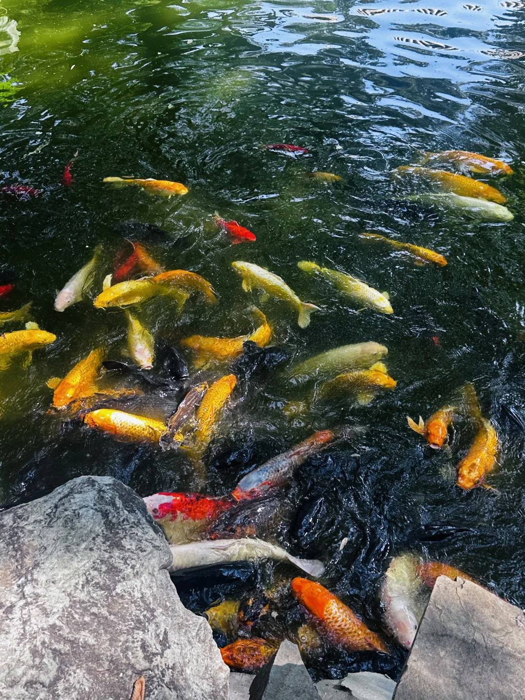 京城穿越体验?穿熹妃战袍享宫廷御品下午茶