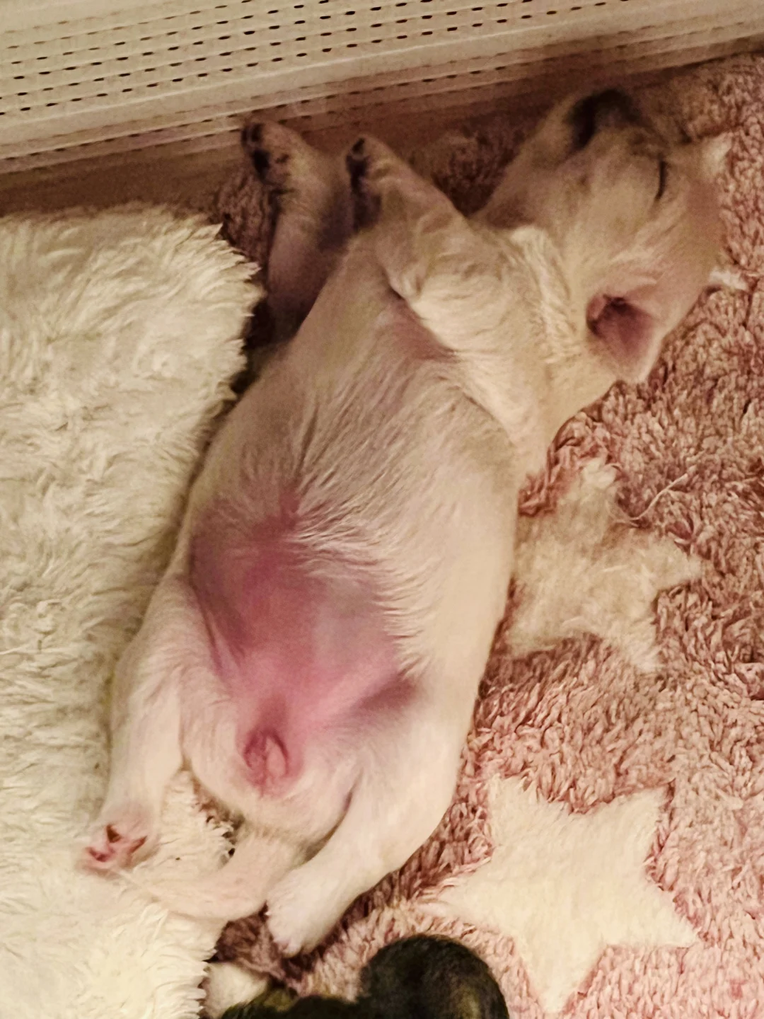 没文化 只会说我靠！漂亮…