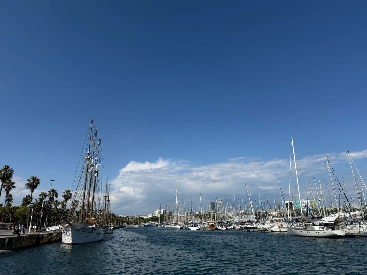 再访欧洲2025 荷兰PLMA 超市用品展