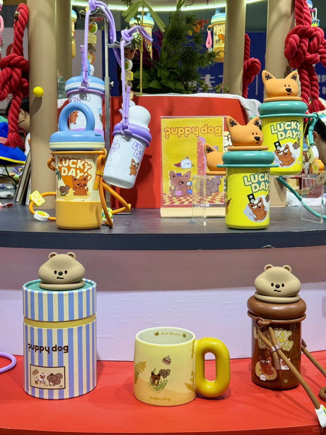 成都人接到通知了吗？限时4天❗️