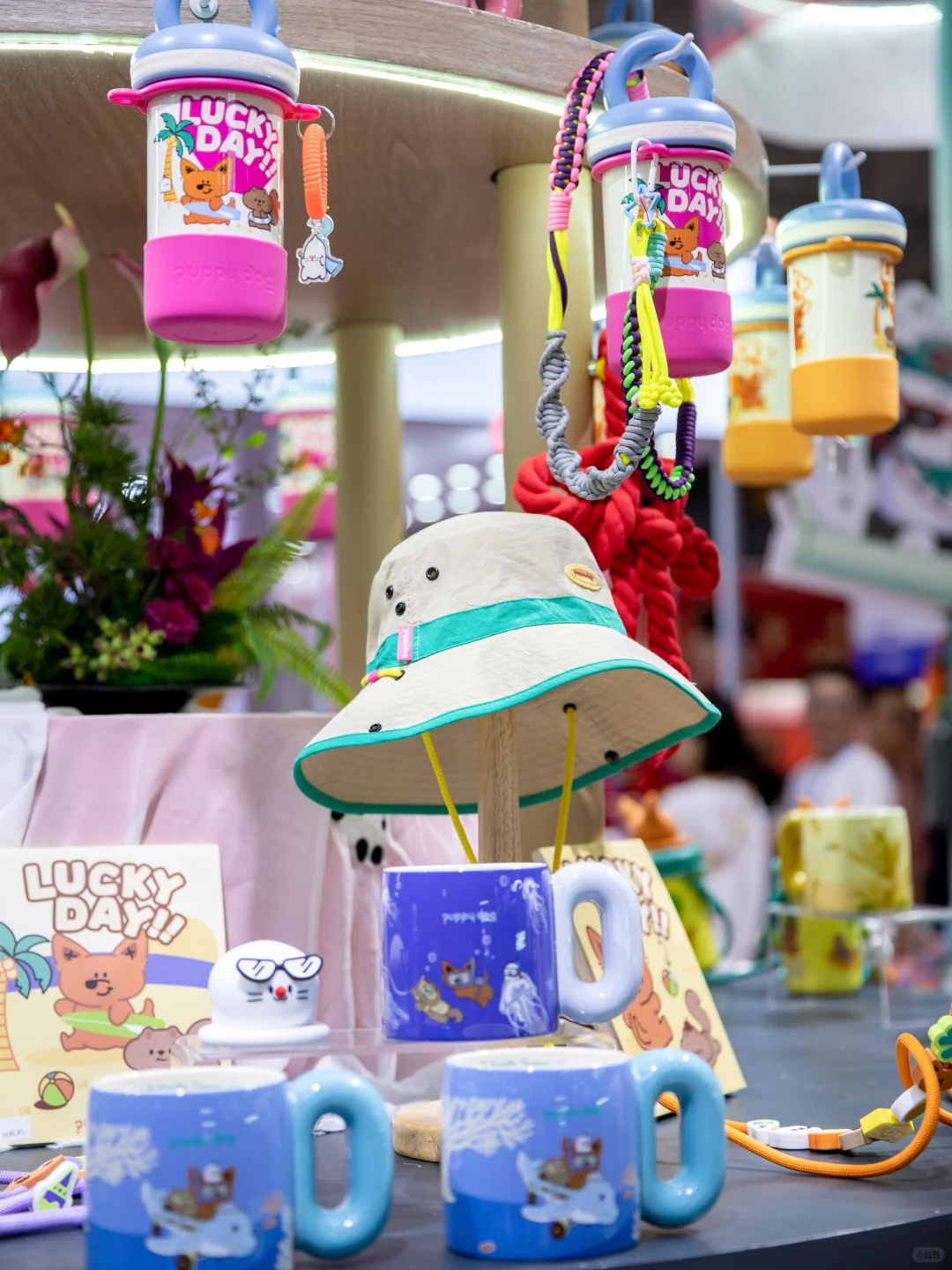 成都人接到通知了吗？限时4天❗️