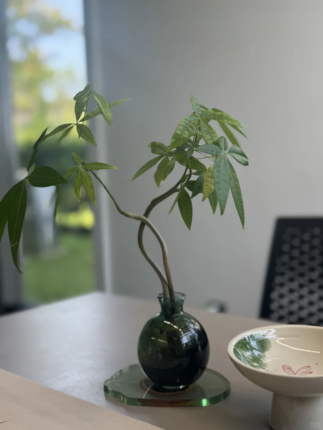 40+职场女高管的日常生活碎片