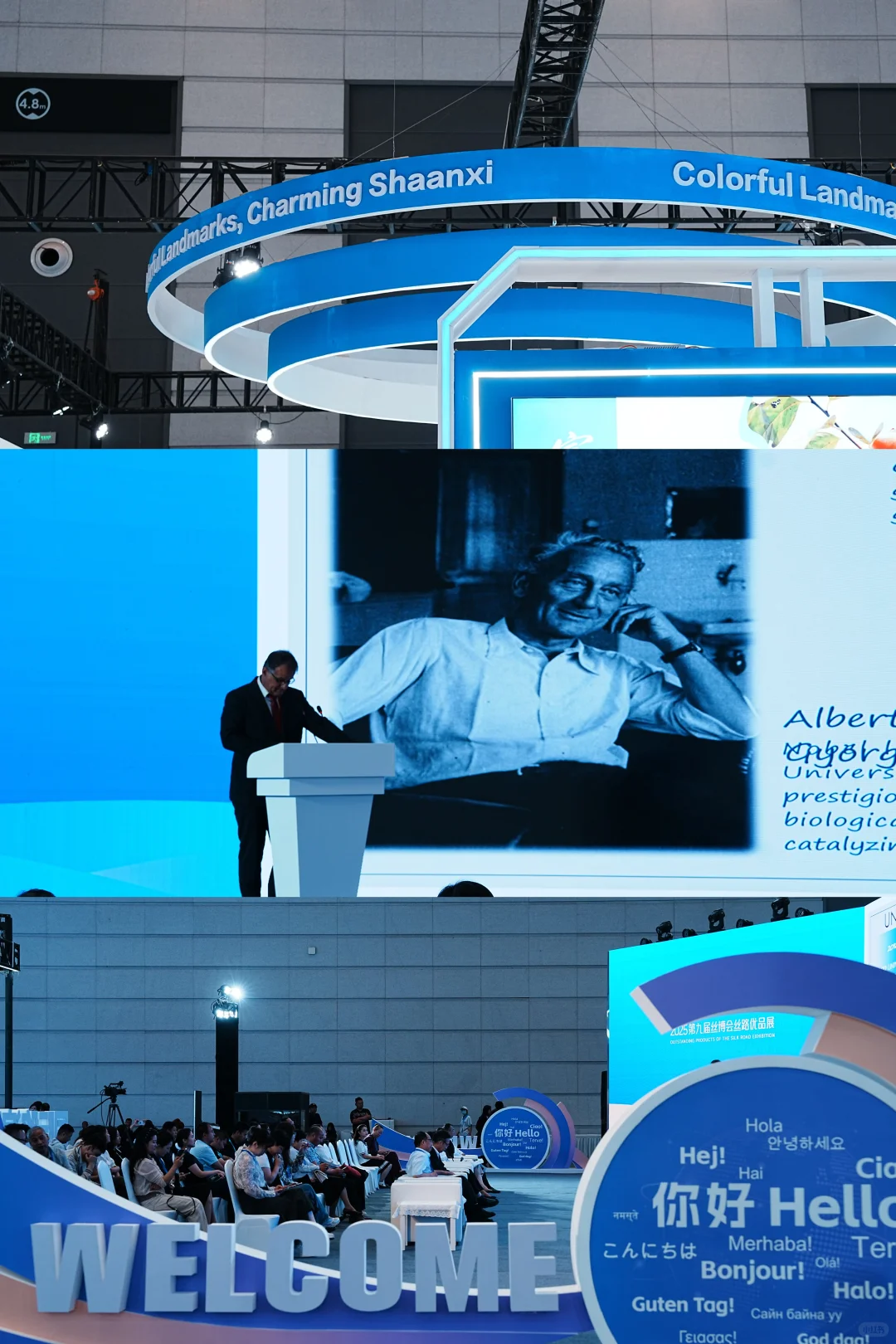 2025年西安丝博会以“丝路融通·开放合作”