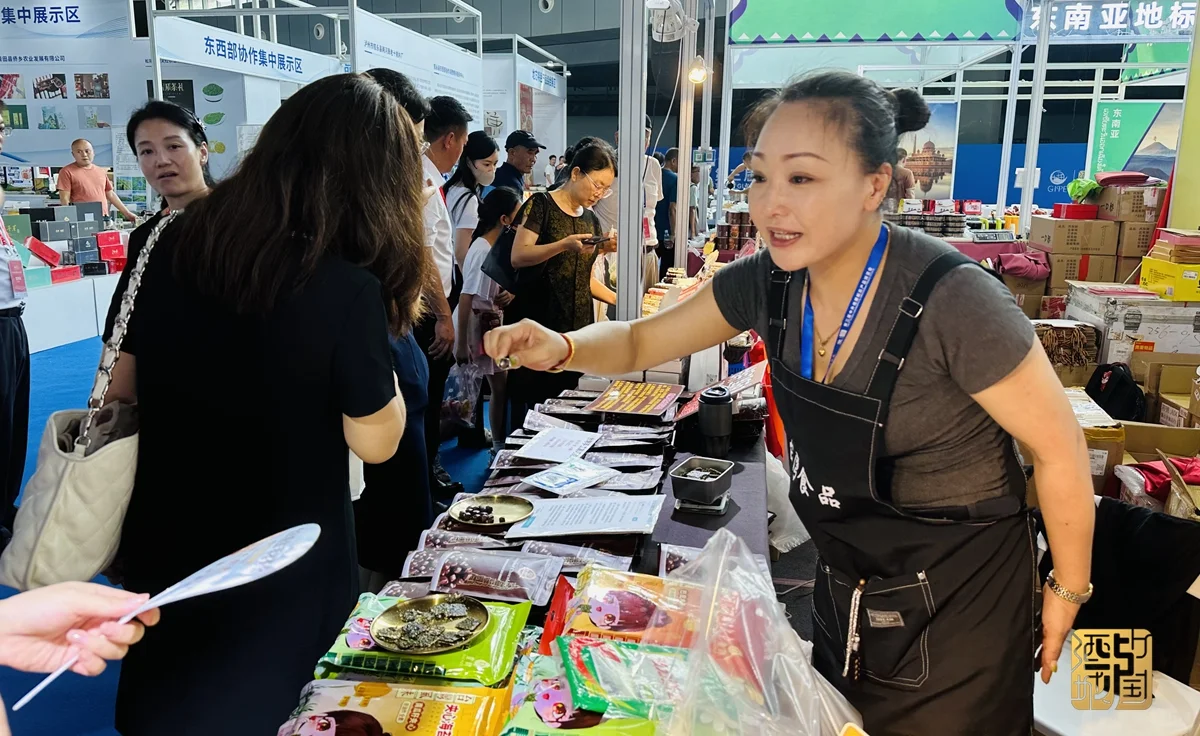 周末约！泸州正在举办的这个展会，太好逛了