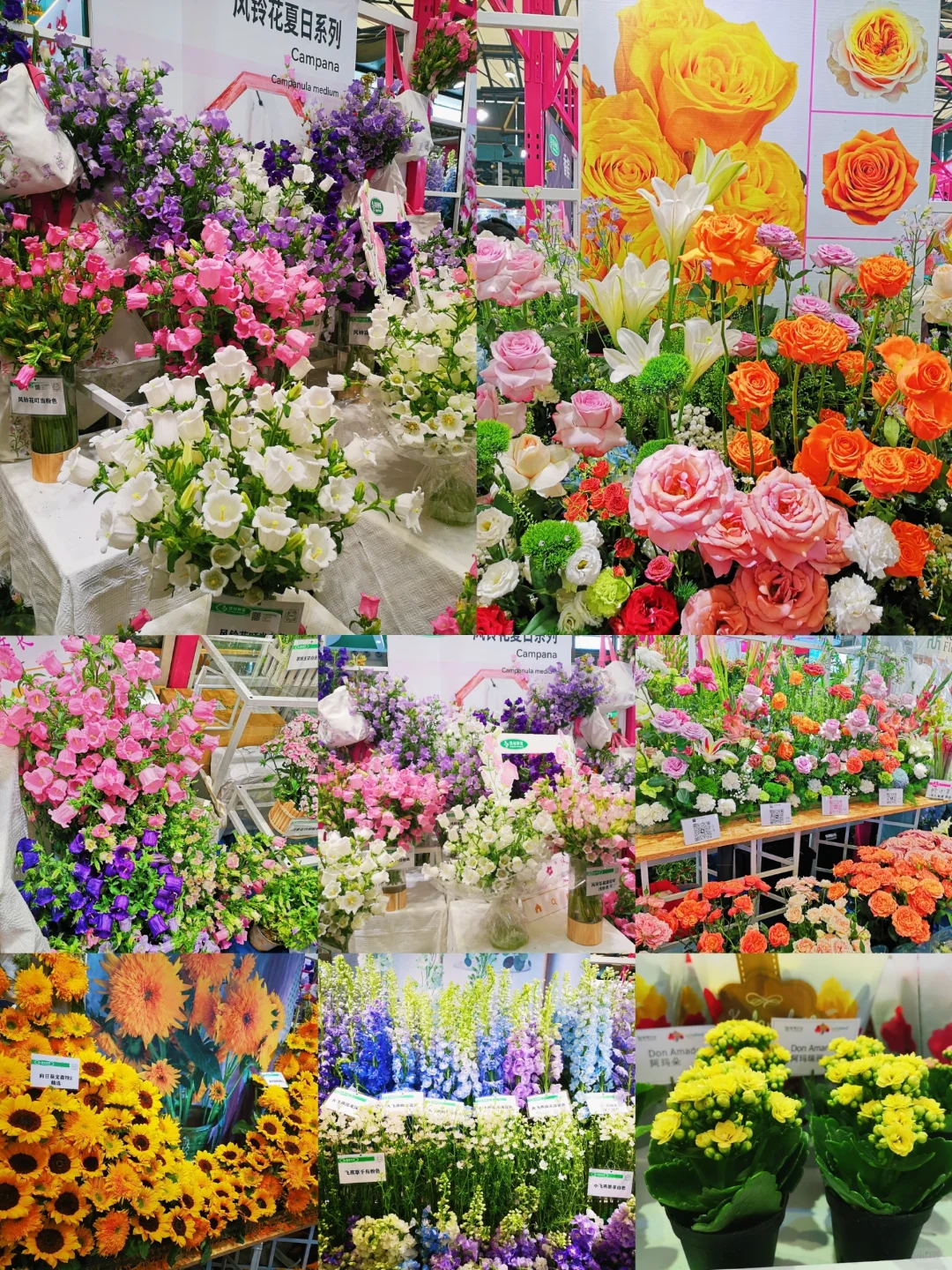 中国国际花卉园艺展览会︳在展会过春天