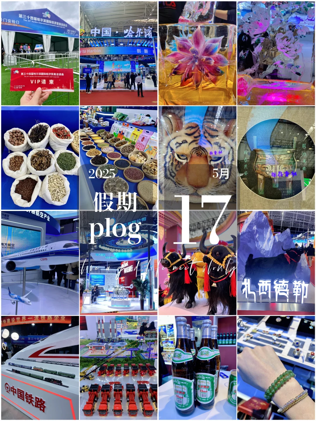 第三十四届哈洽会开始啦 逛起来吧