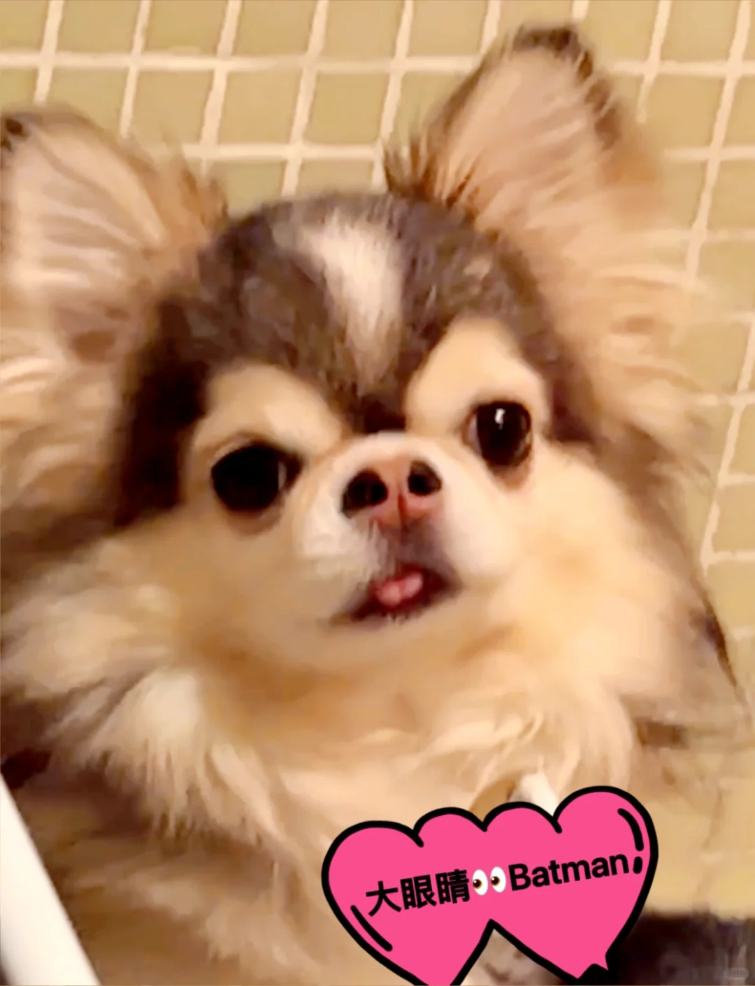 没文化 只会说我靠！漂亮…