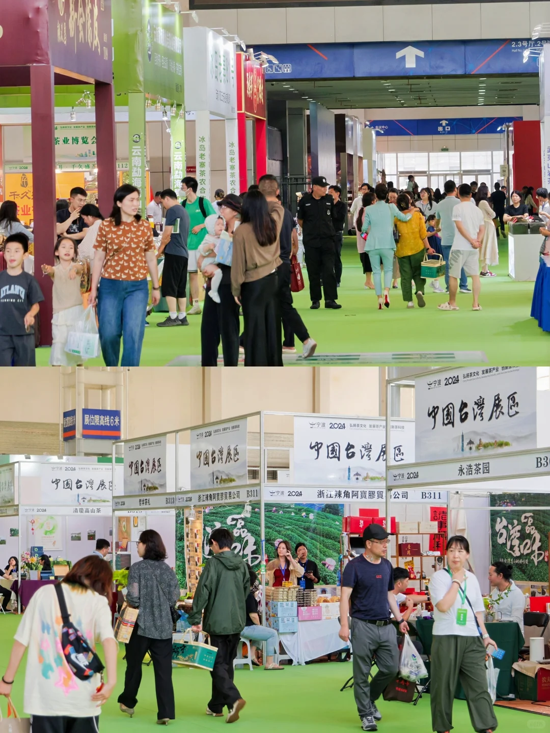 茶友！2025宁波茶博会倒计时2天，免费入场