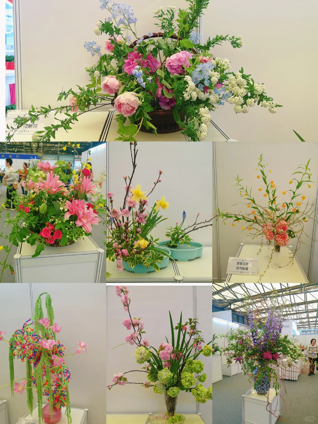 中国国际花卉园艺展览会︳在展会过春天