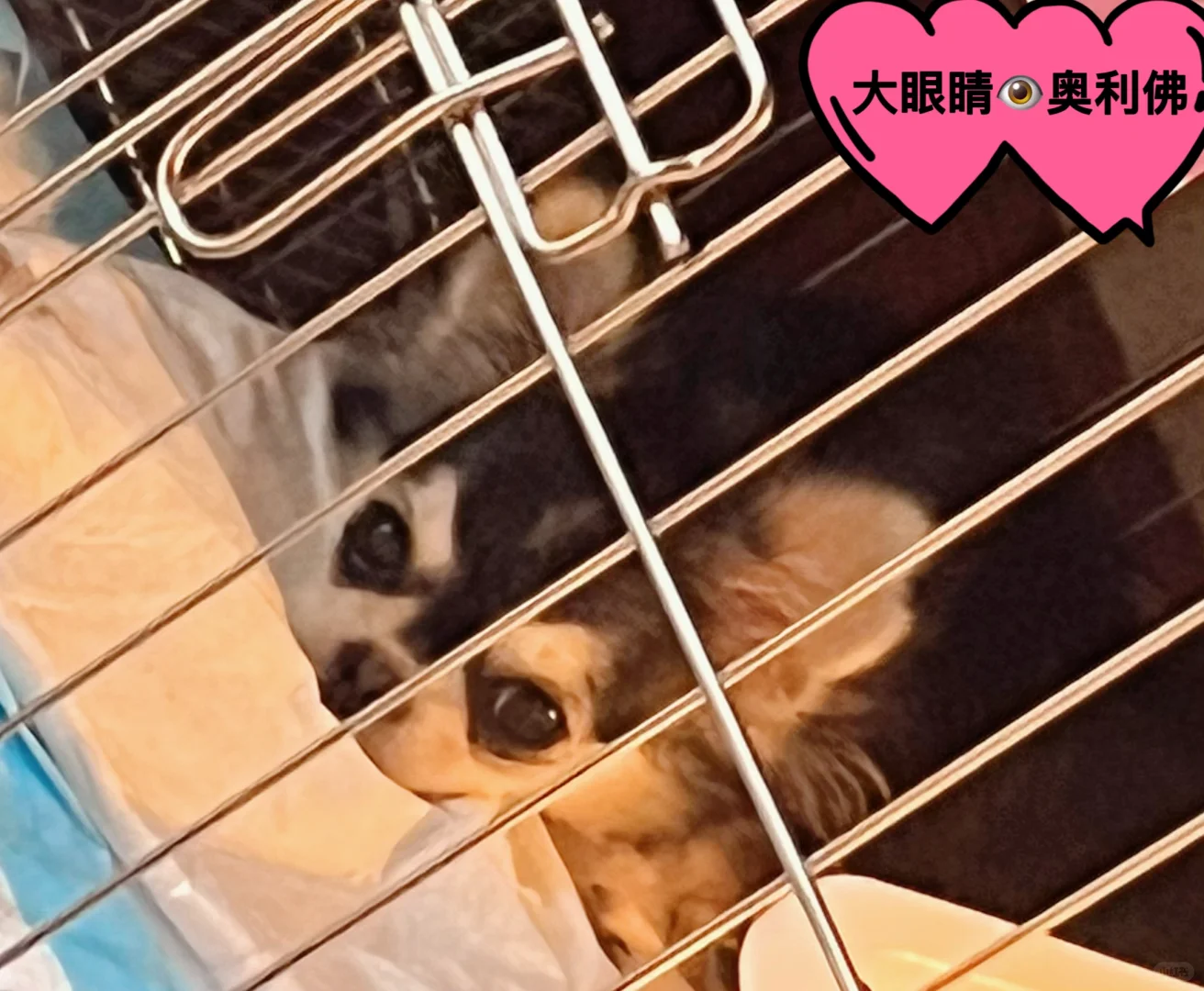 没文化 只会说我靠！漂亮…