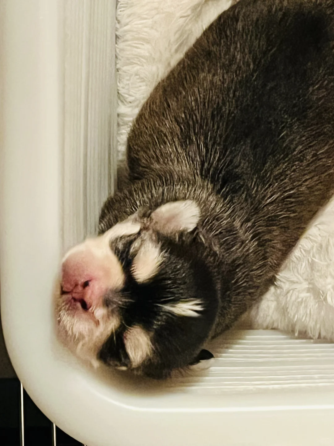 没文化 只会说我靠！漂亮…