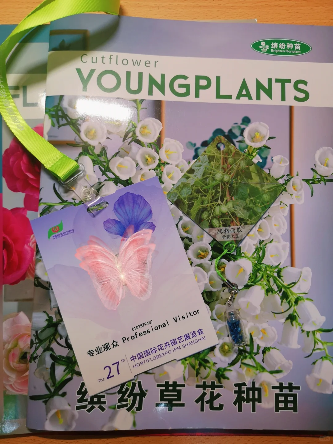 中国国际花卉园艺展览会︳在展会过春天