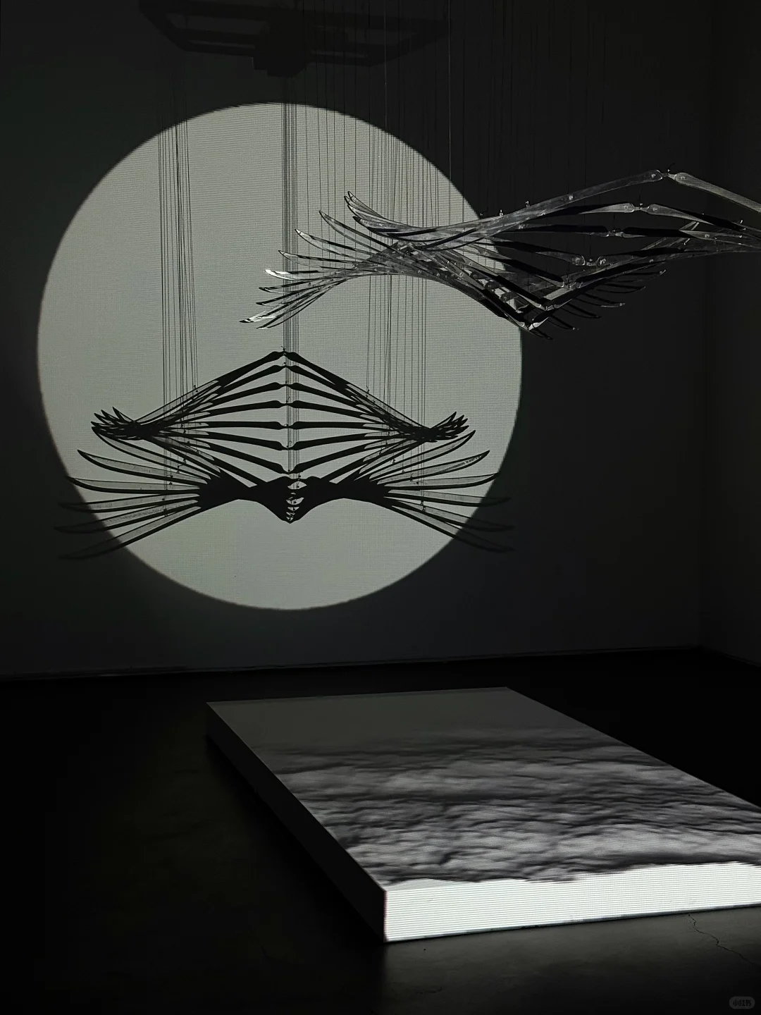 北京新展！一场不会静止的展览⚙️..