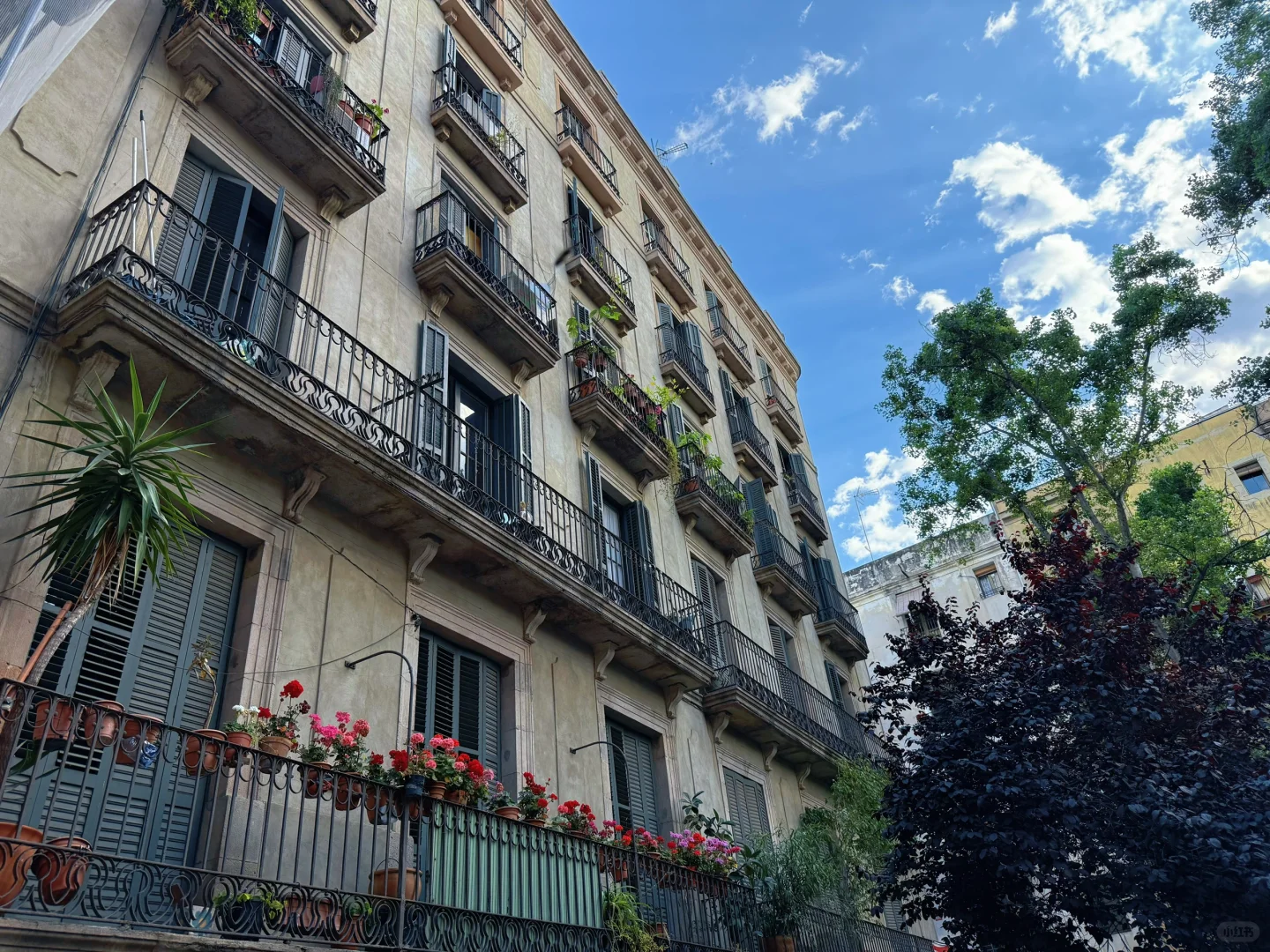 再访欧洲2025 荷兰PLMA 超市用品展