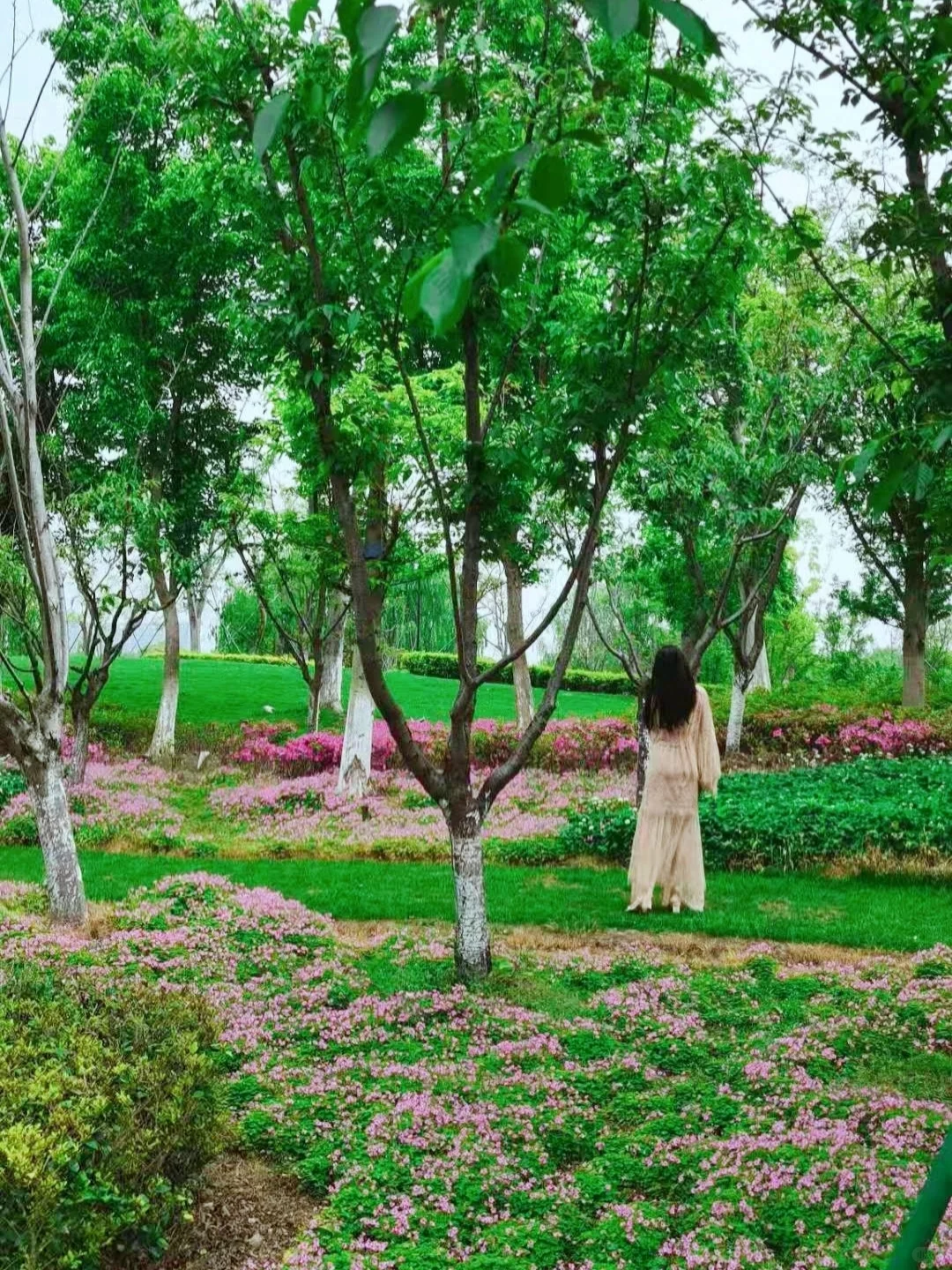 37岁老阿姨的湖州幸福生活