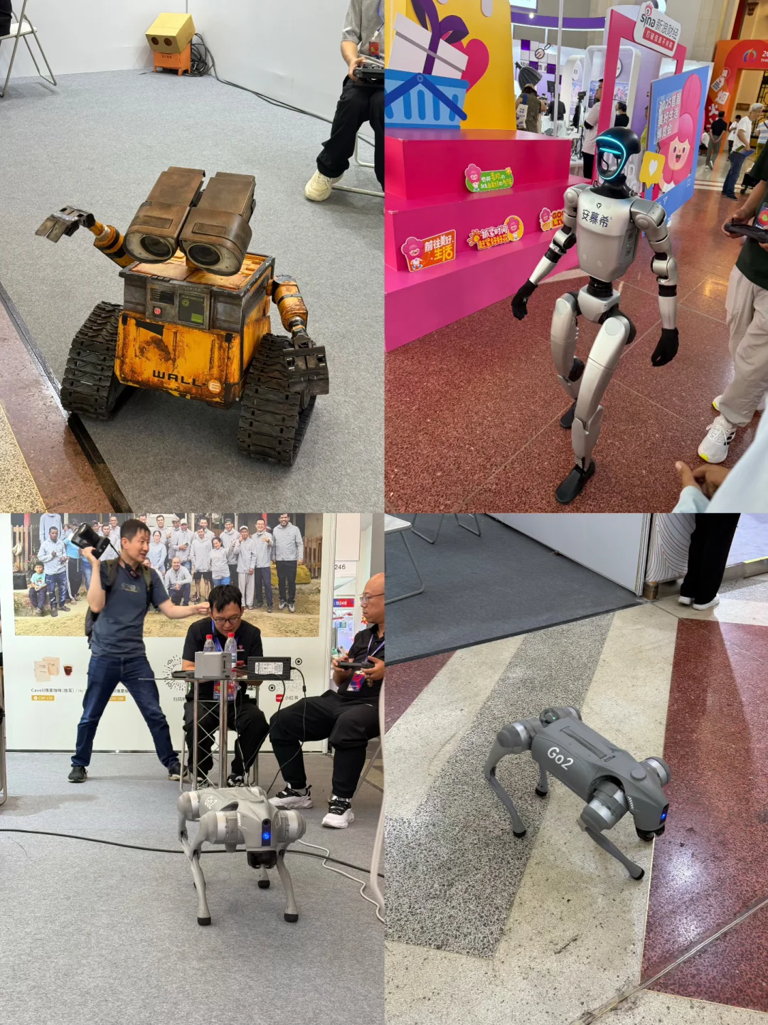 逛展会偶遇汪小菲还中了55寸电视!附攻略!