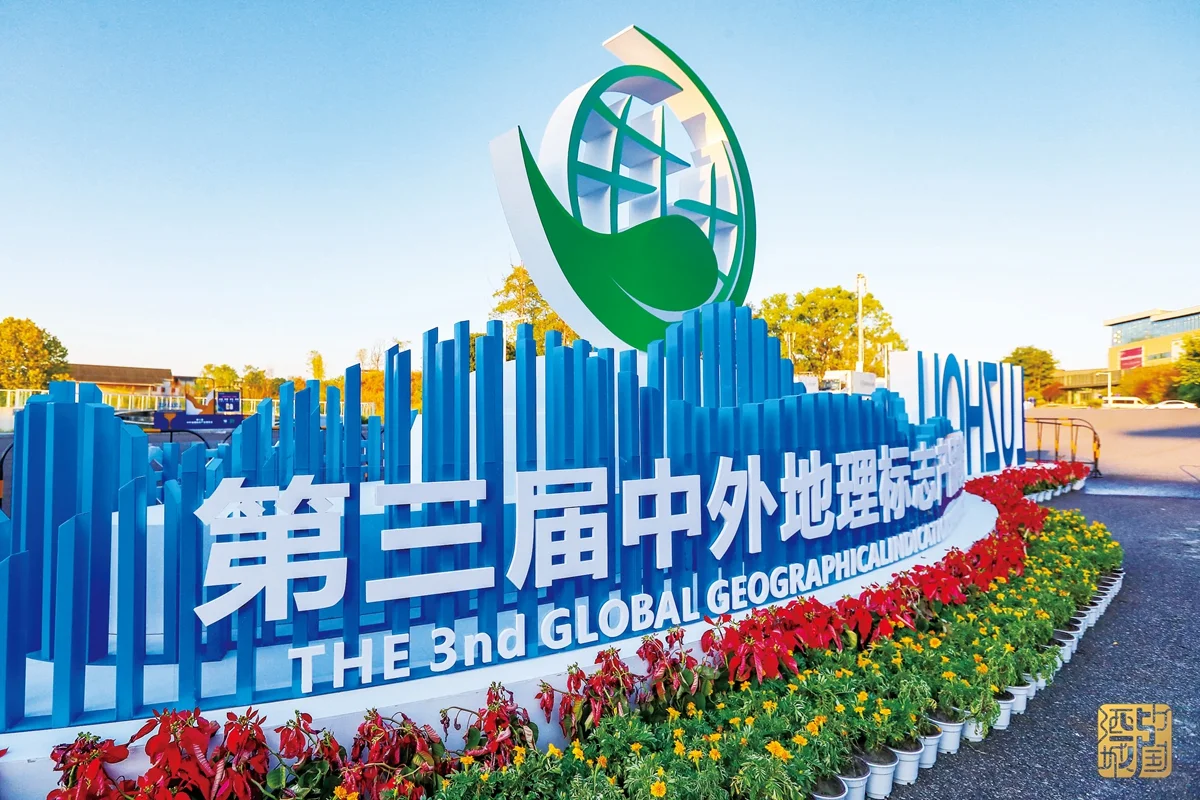 周末约！泸州正在举办的这个展会，太好逛了