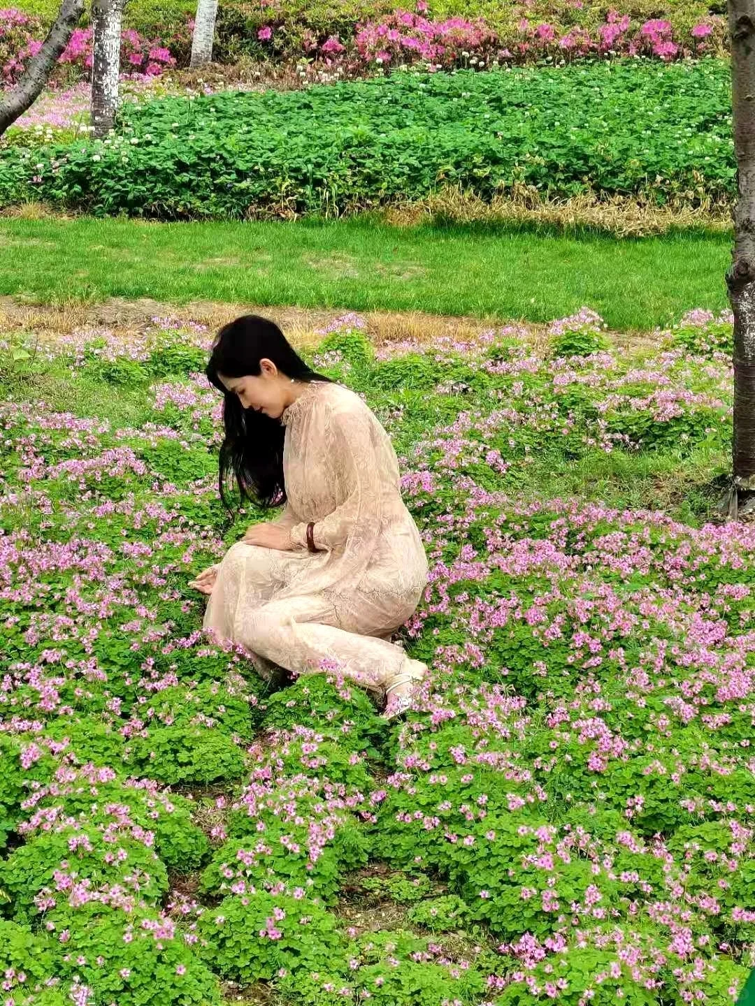 37岁老阿姨的湖州幸福生活