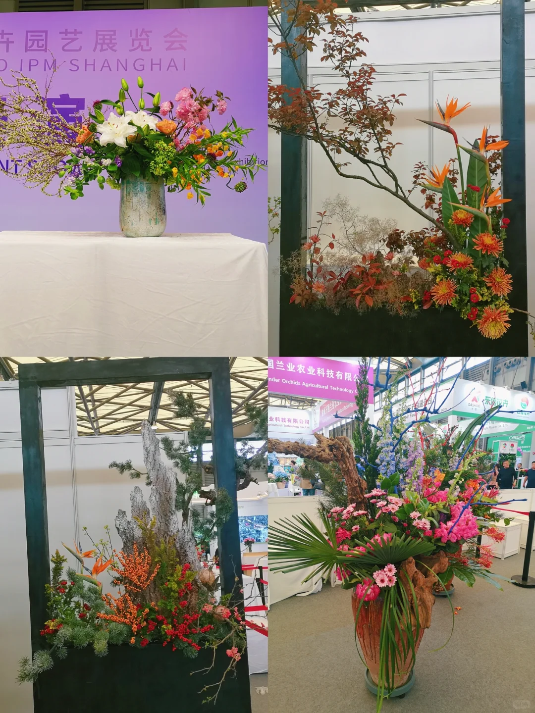 中国国际花卉园艺展览会︳在展会过春天