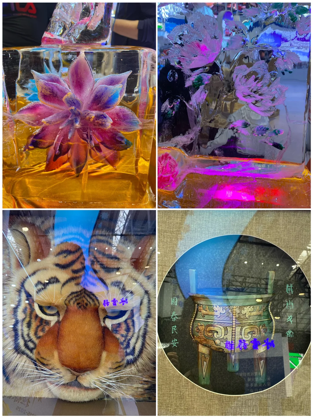 第三十四届哈洽会开始啦 逛起来吧