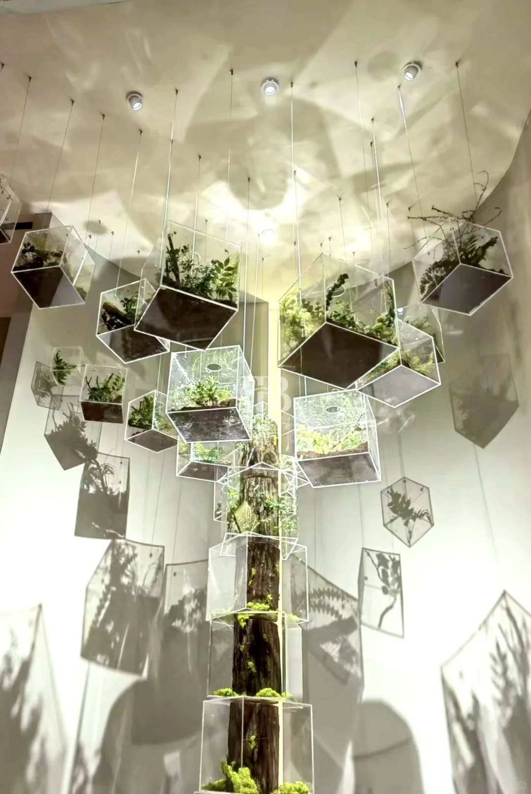 这款亚克力树摆在展会展厅也太高级了吧