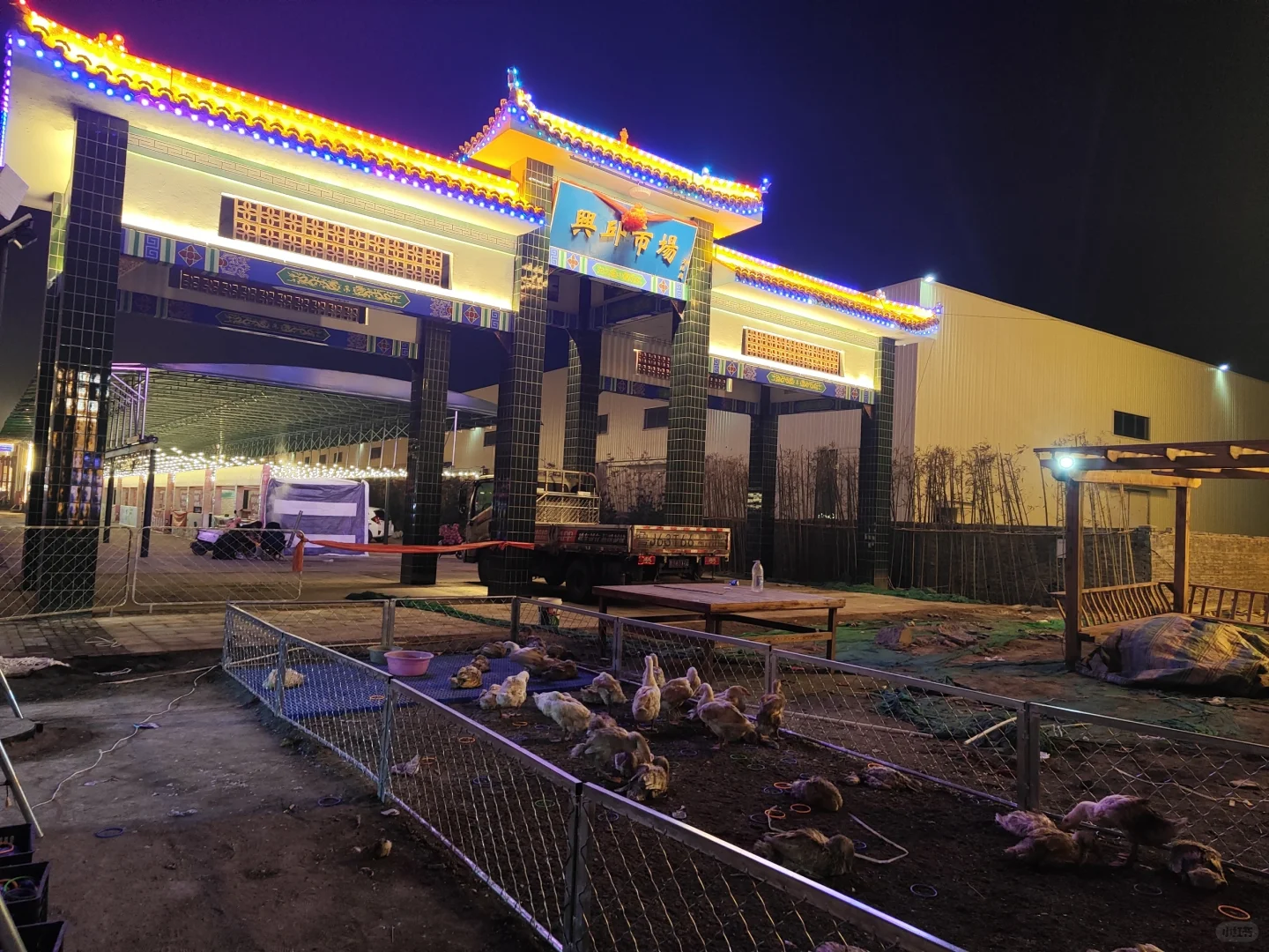 ✨邯郸遛娃?邱县鲲鹏国际会展中心