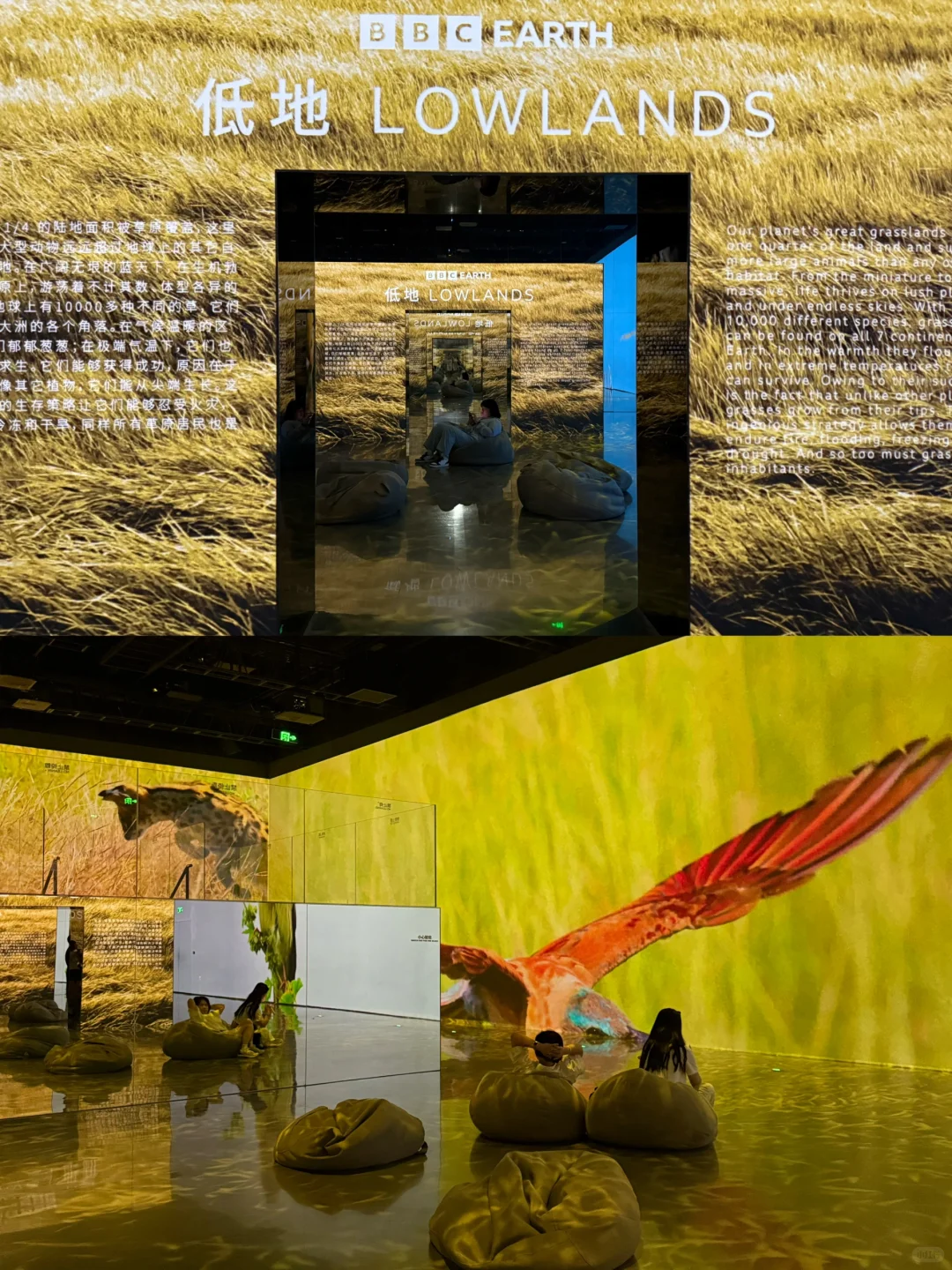 成都遛娃|治愈新展?地球自然美学超震撼❗️