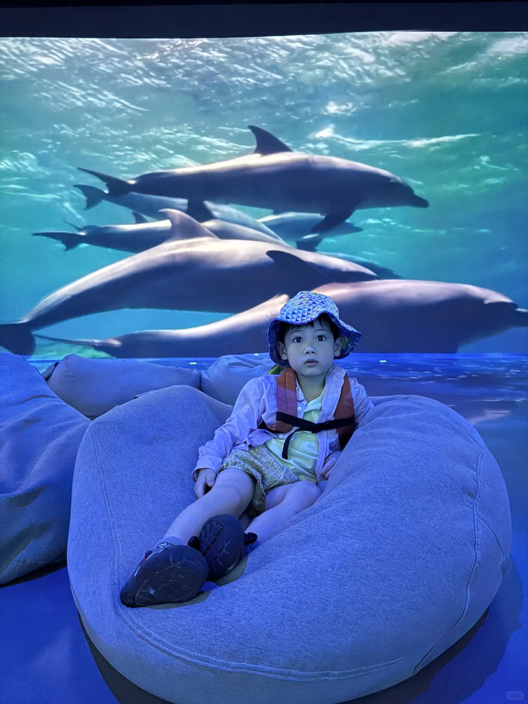 成都遛娃|治愈新展?地球自然美学超震撼❗️