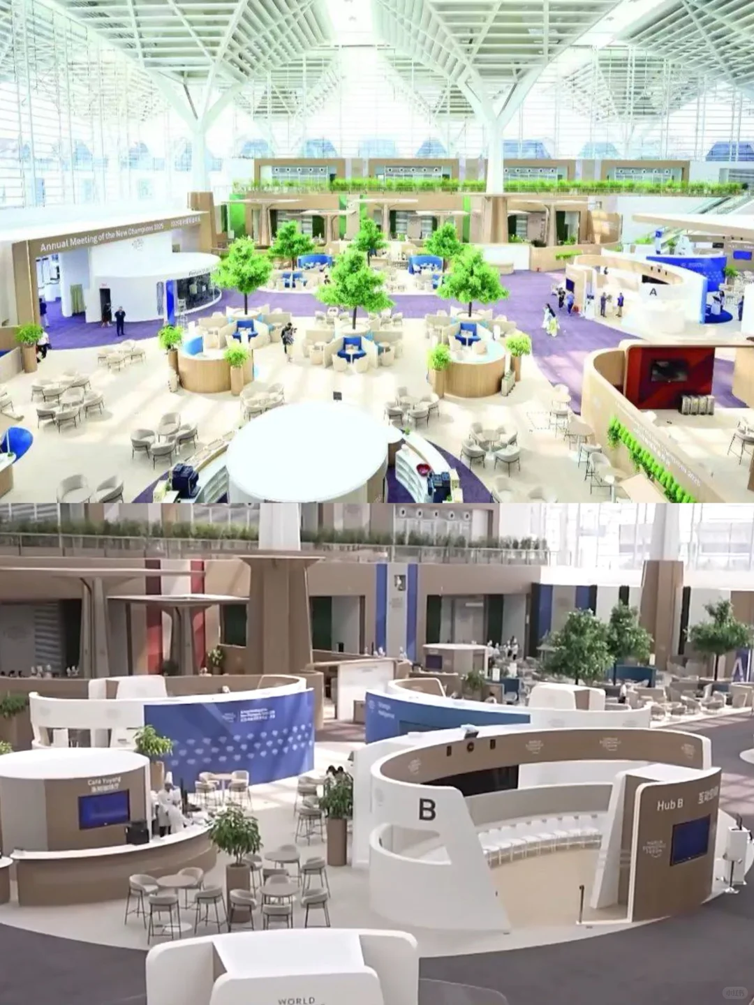 天津?就在这周末?市民免费走进达沃斯❗️