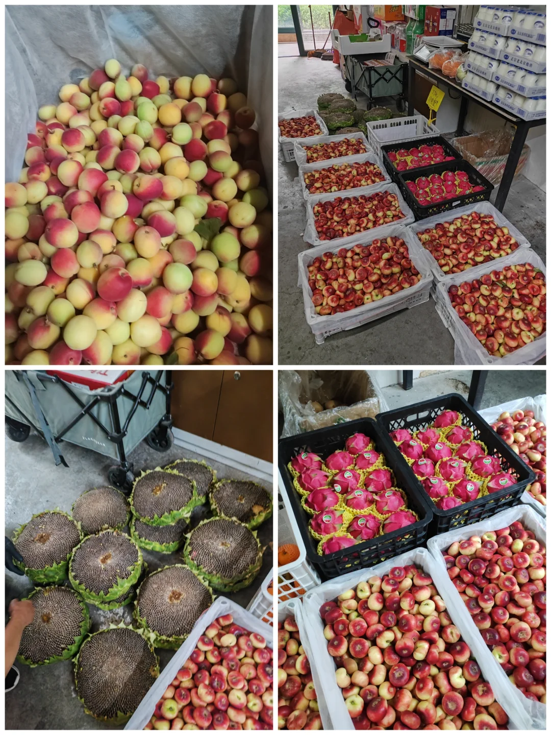 社区团购新手攻略1?