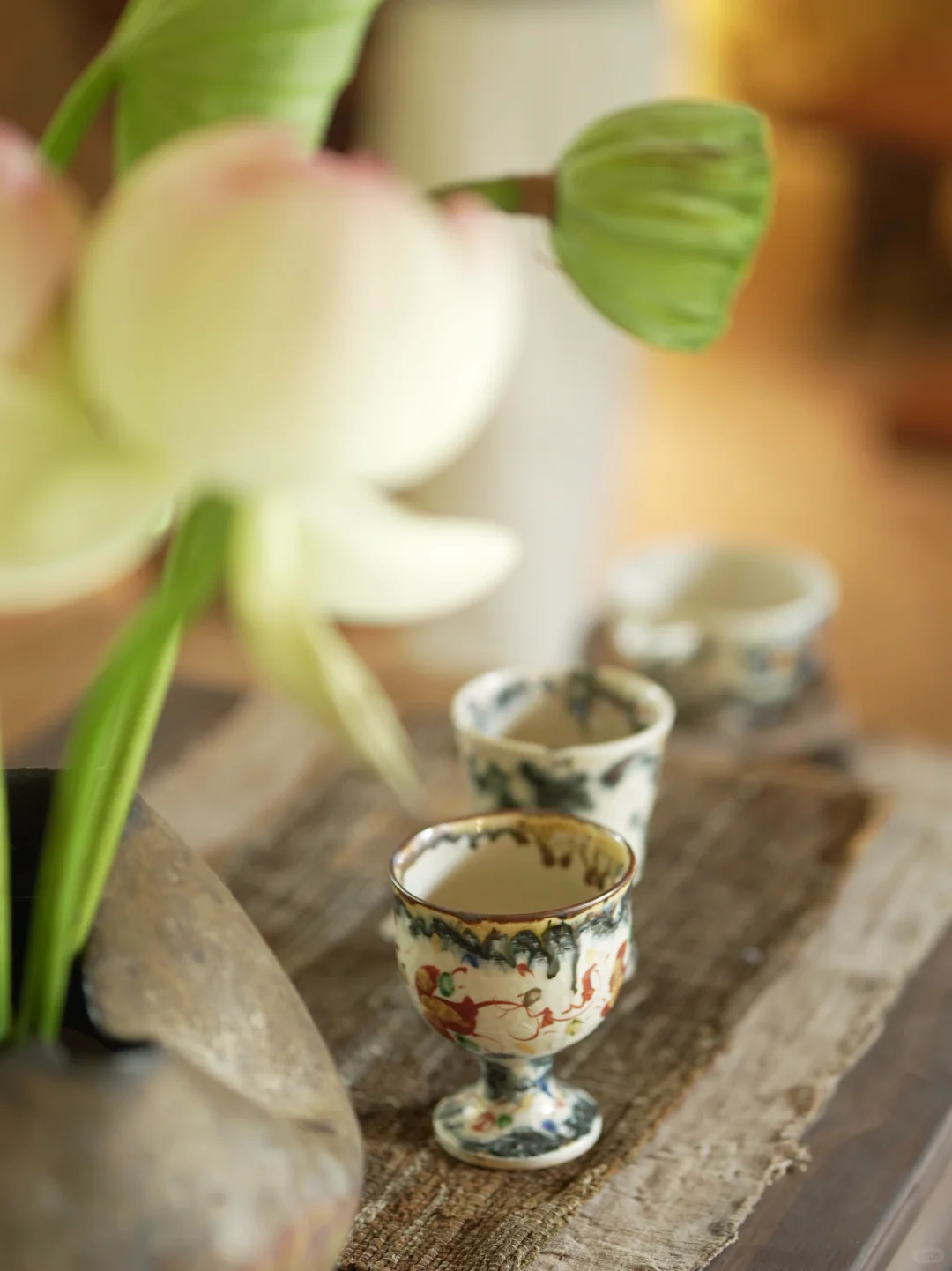 展会回顾｜我们在慢慢成长，也在被温柔看见