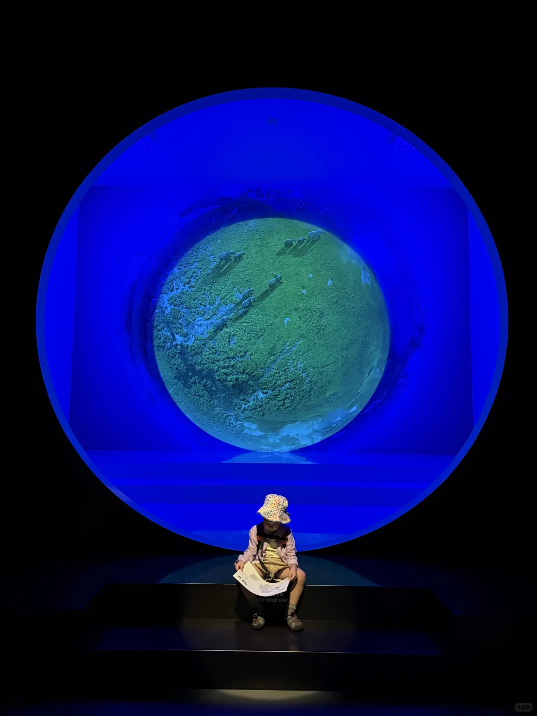 成都遛娃|治愈新展?地球自然美学超震撼❗️