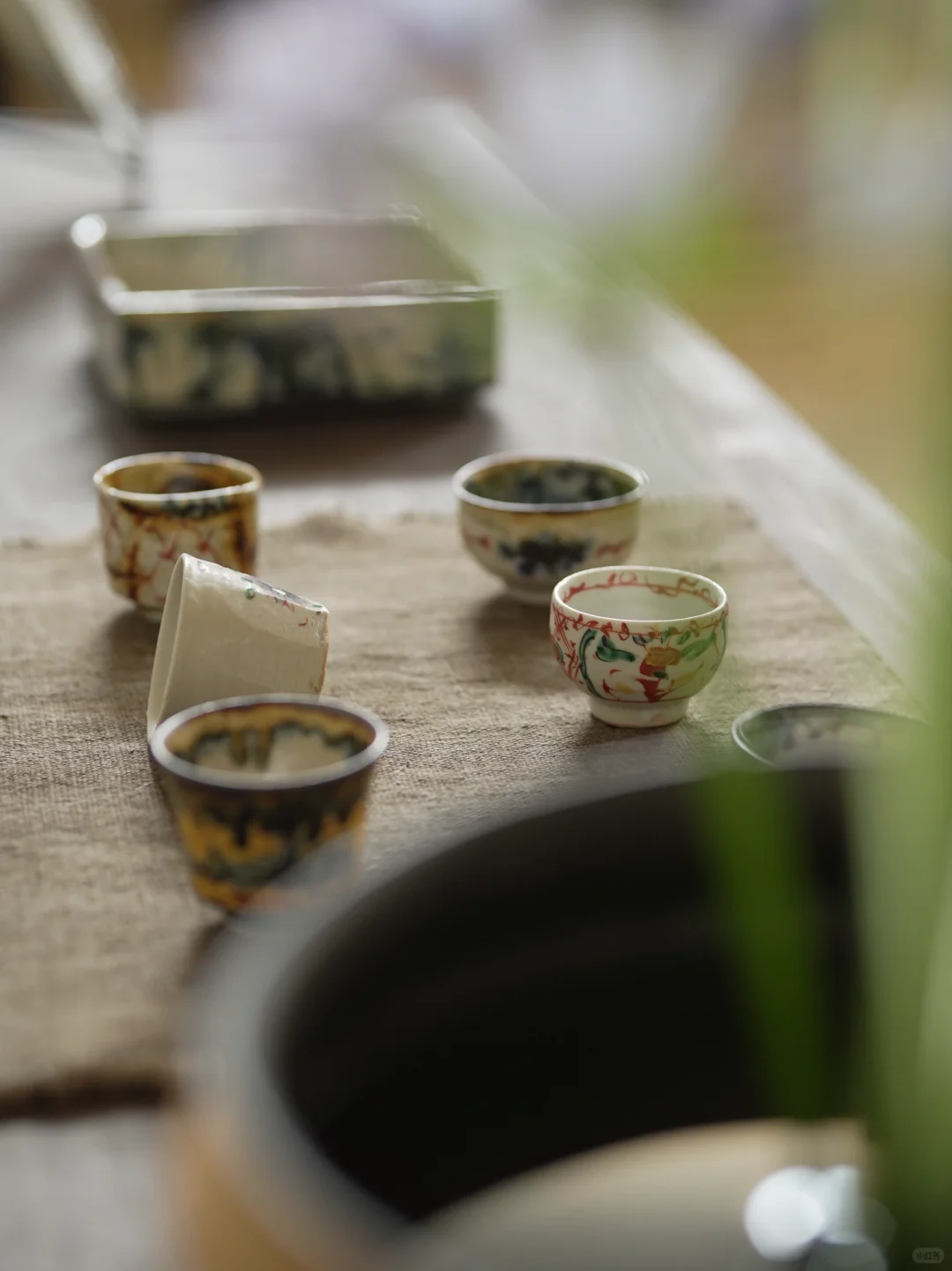 展会回顾｜我们在慢慢成长，也在被温柔看见