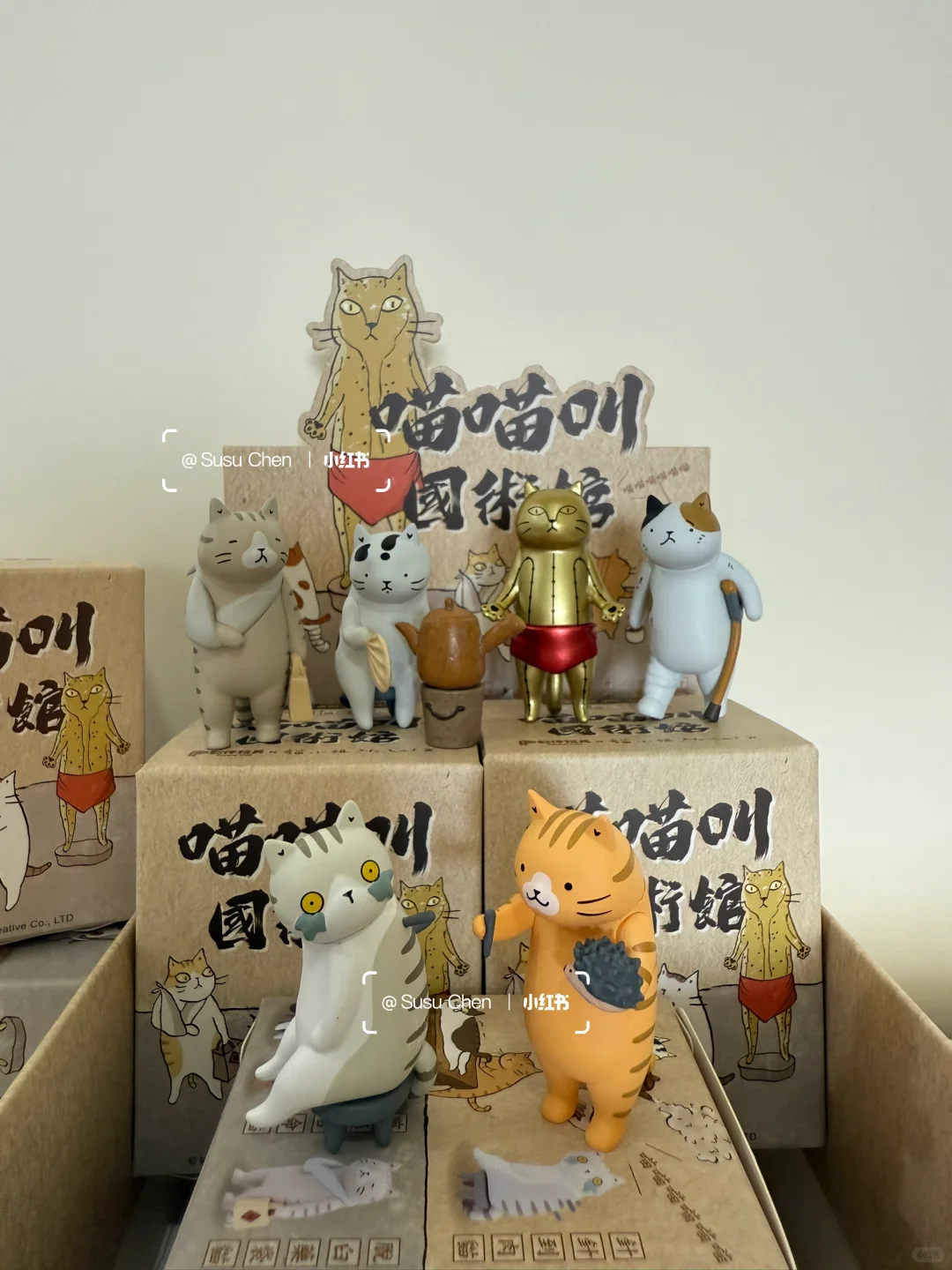 喵小姐 Ms.Cat喵喵叫國術館 ?