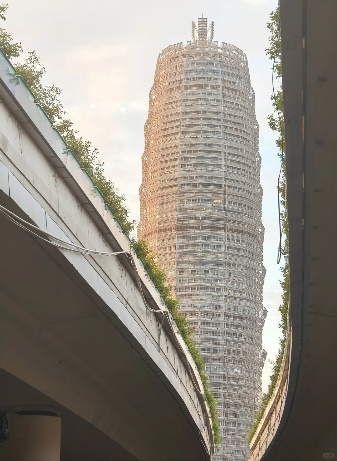 【城市漫步】郑州又是当天往返