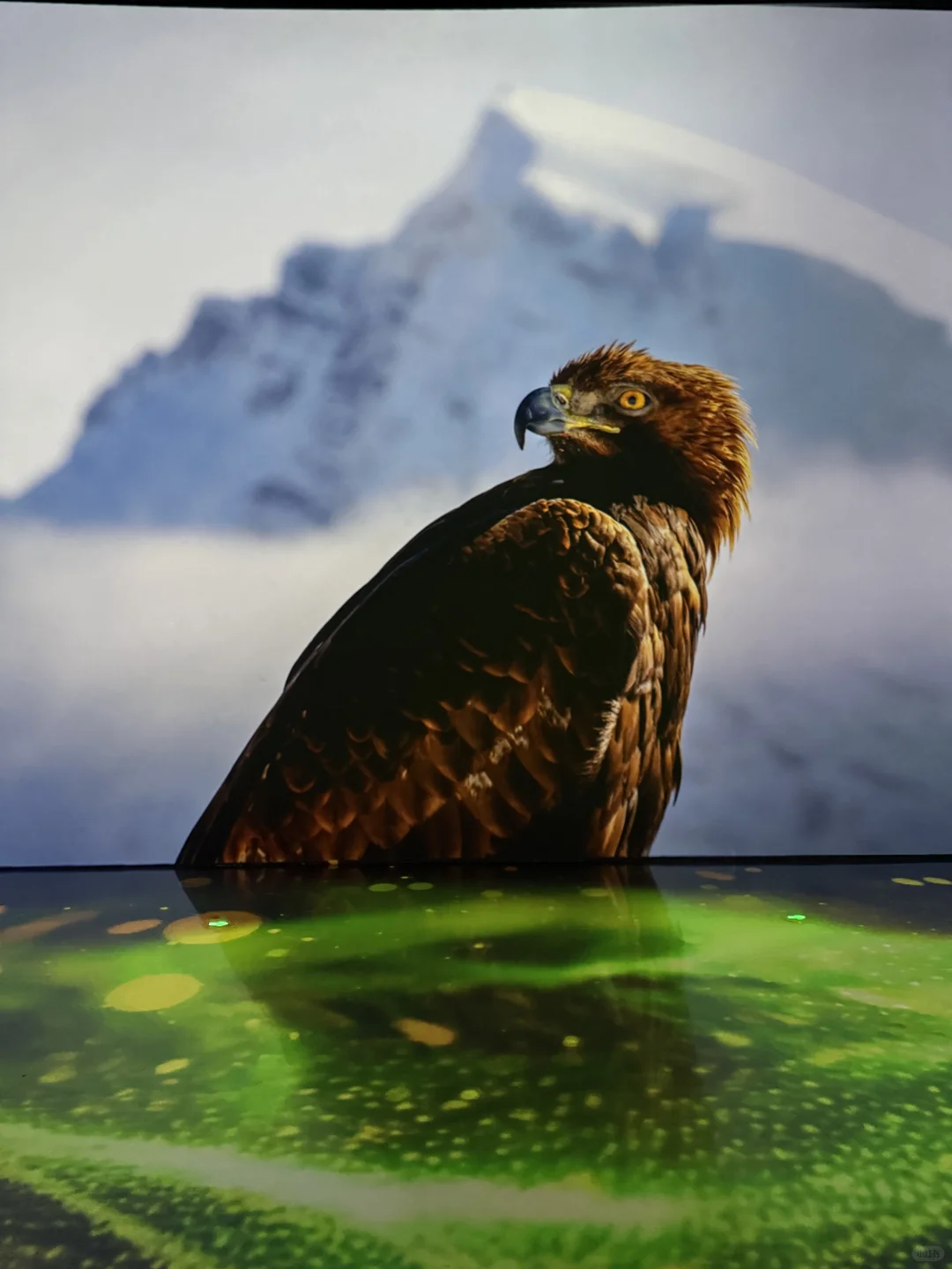 成都遛娃|治愈新展?地球自然美学超震撼❗️