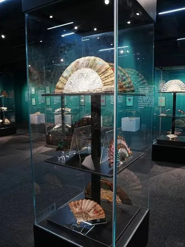 深圳展览 | 海上丝绸之路瑰宝展，速看！