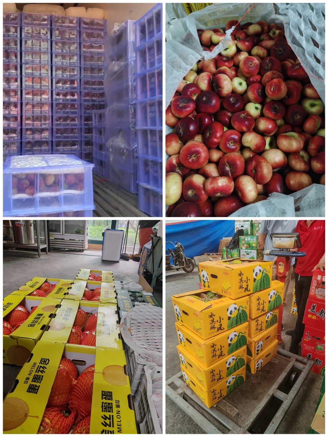 社区团购新手攻略1?